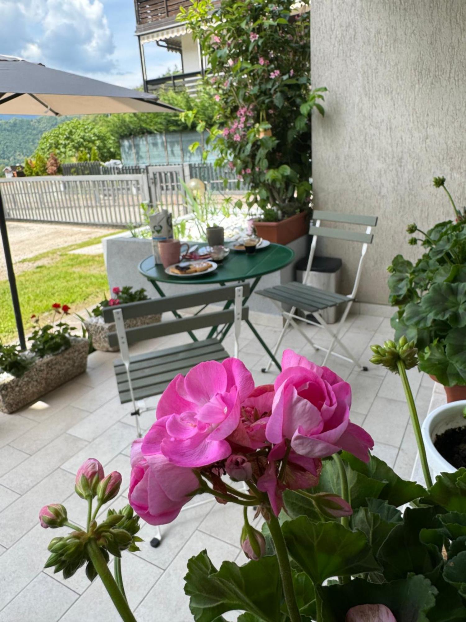 Green House Next - Lovely Apartment For Family And Free Parking Левико-Терме Экстерьер фото